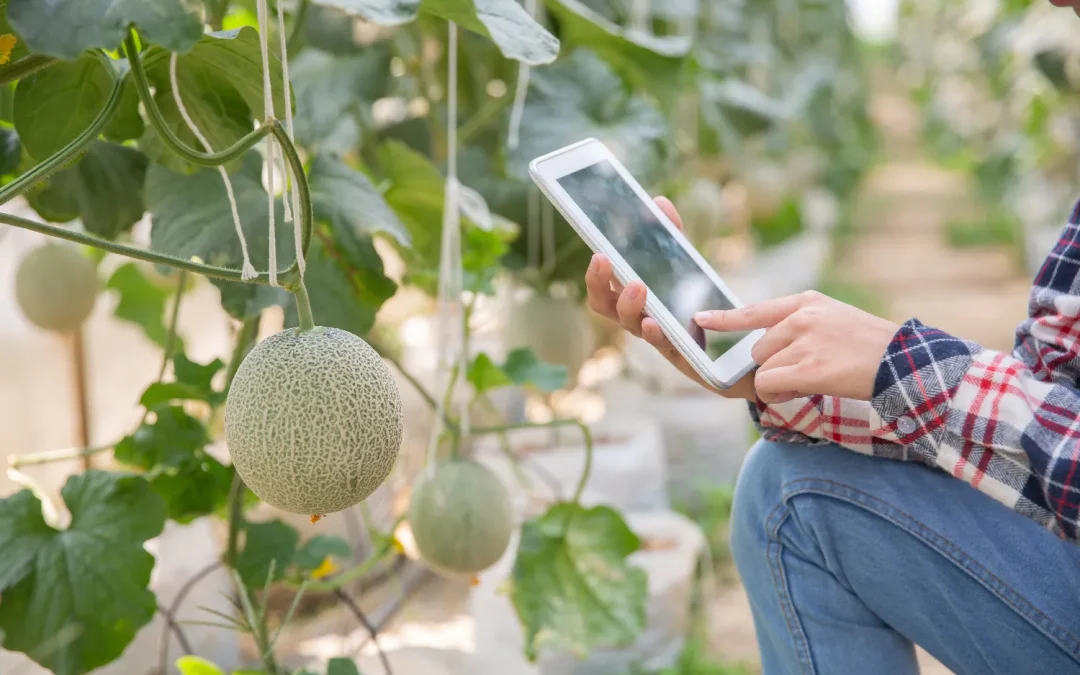 Créer un potager moderne en Bretagne : design, autonomie et serres connectées
