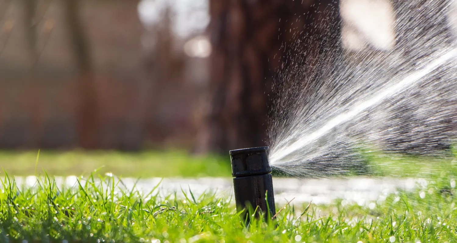 restrictions-darrosage-en-ille-et-vilaine-comment-garder-un-jardin-sain-cet-ete