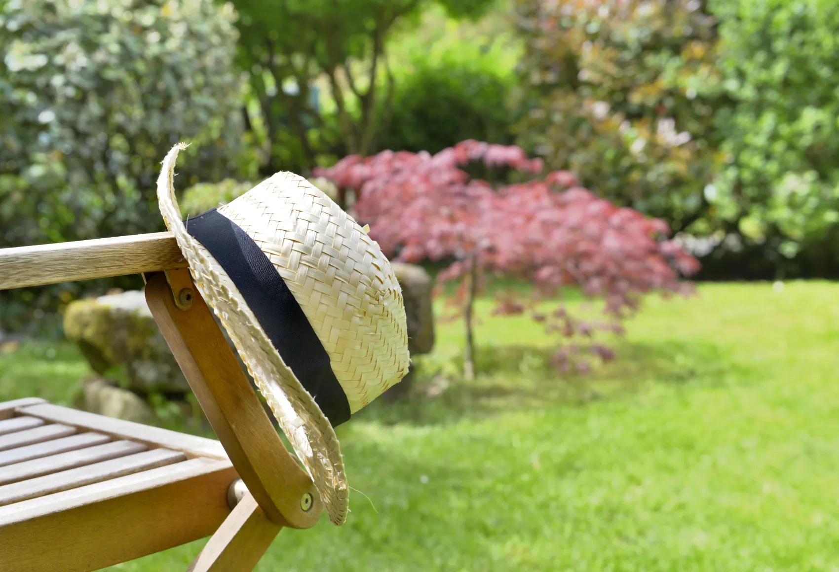 lg-cote-jardin-article-jardin-pendant-les-vacances